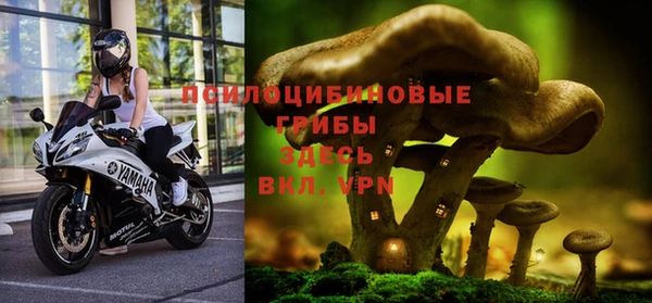 2c-b Лагань