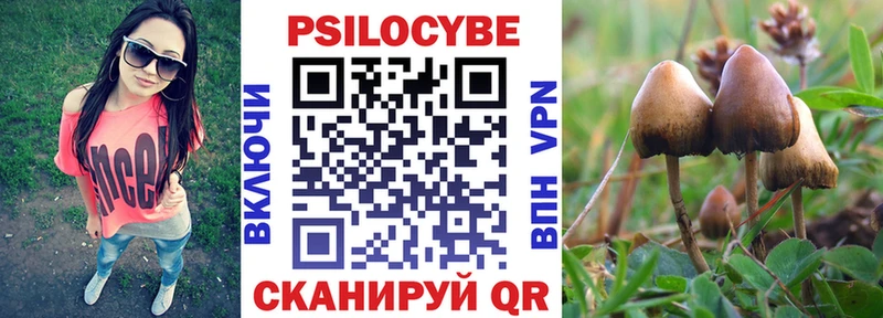 Купить  Боровск  Псилоцибиновые грибы GOLDEN TEACHER 